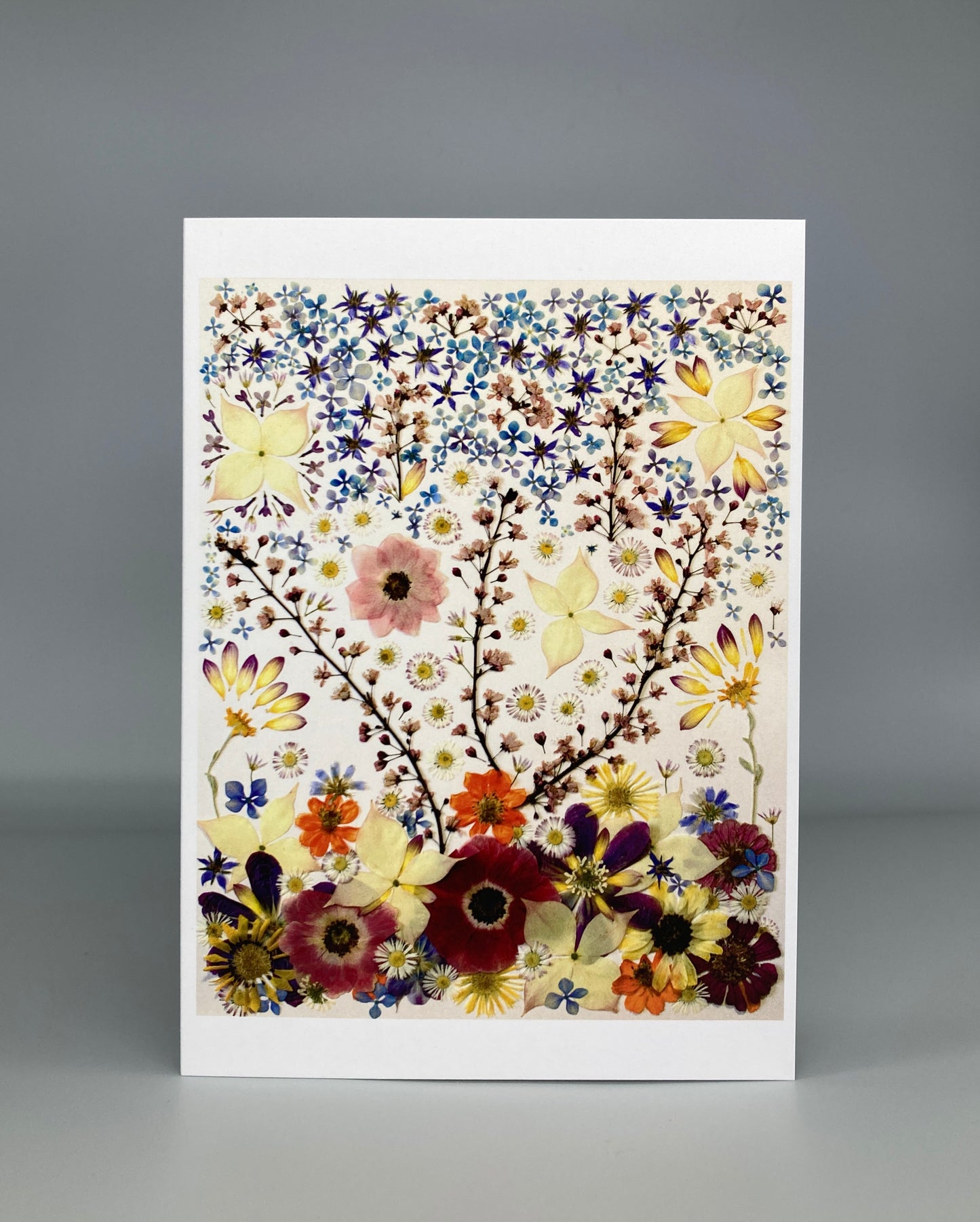 Botanical Art Greeting Cards