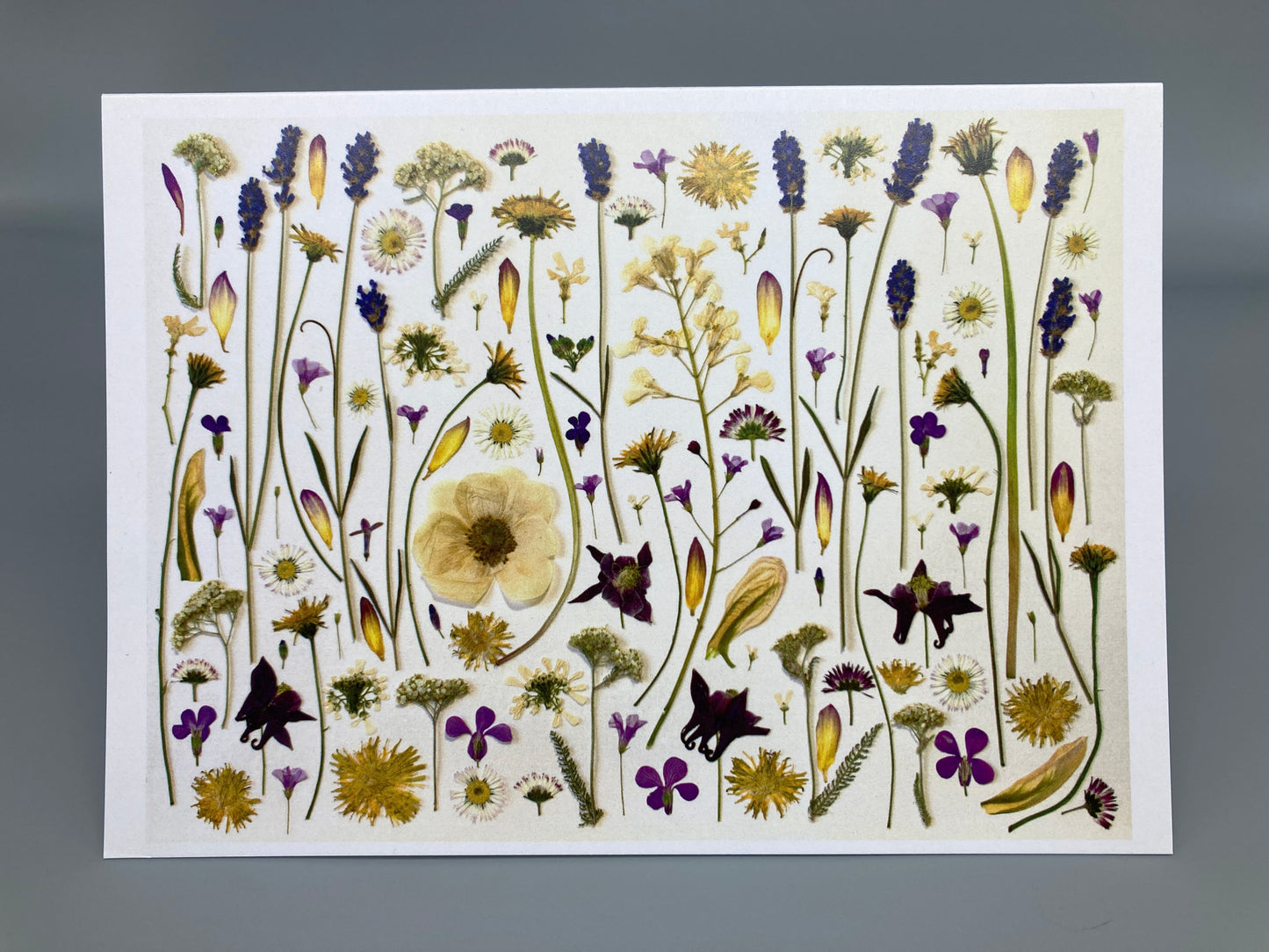 Botanical Art Greeting Cards