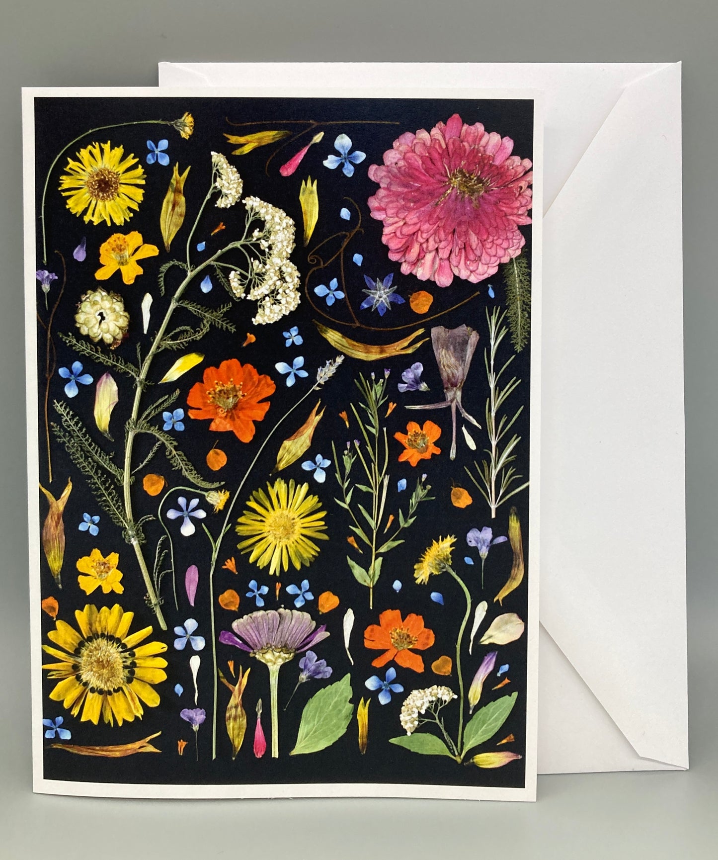 Botanical Art Greeting Cards