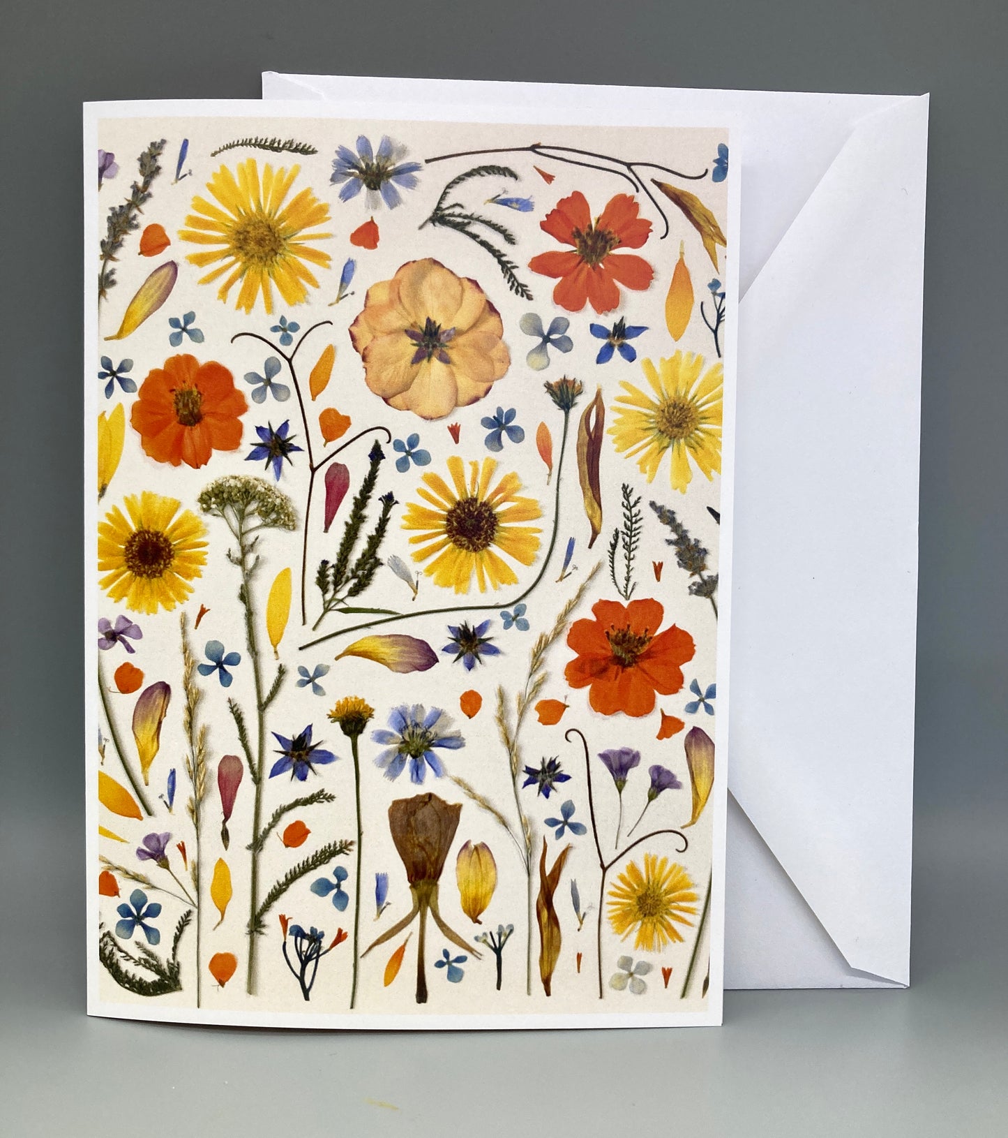Botanical Art Greeting Cards