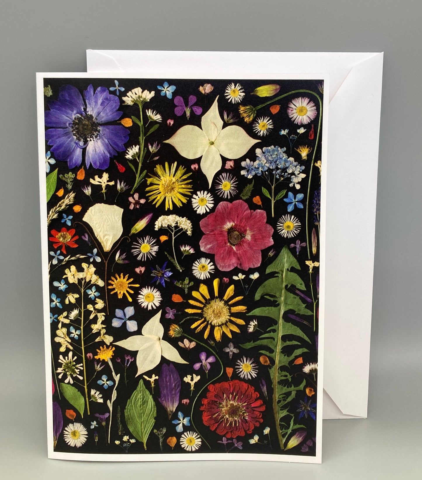 Botanical Art Greeting Cards