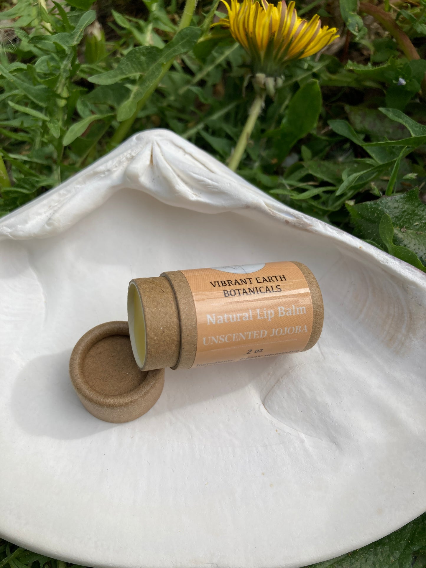 Unscented Jojoba Lip Balm in plastic-free tube