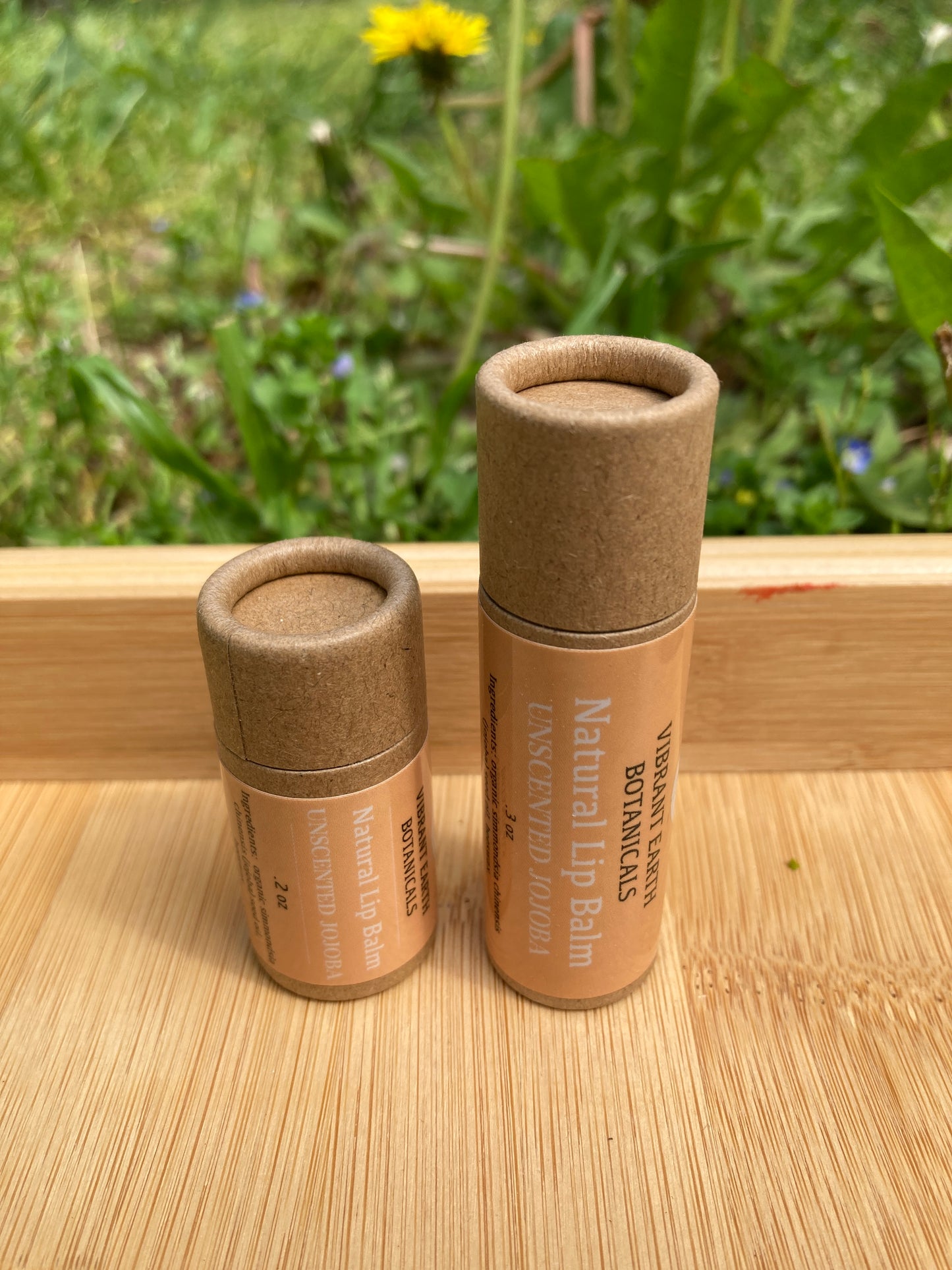 Unscented Jojoba Lip Balm in plastic-free tube