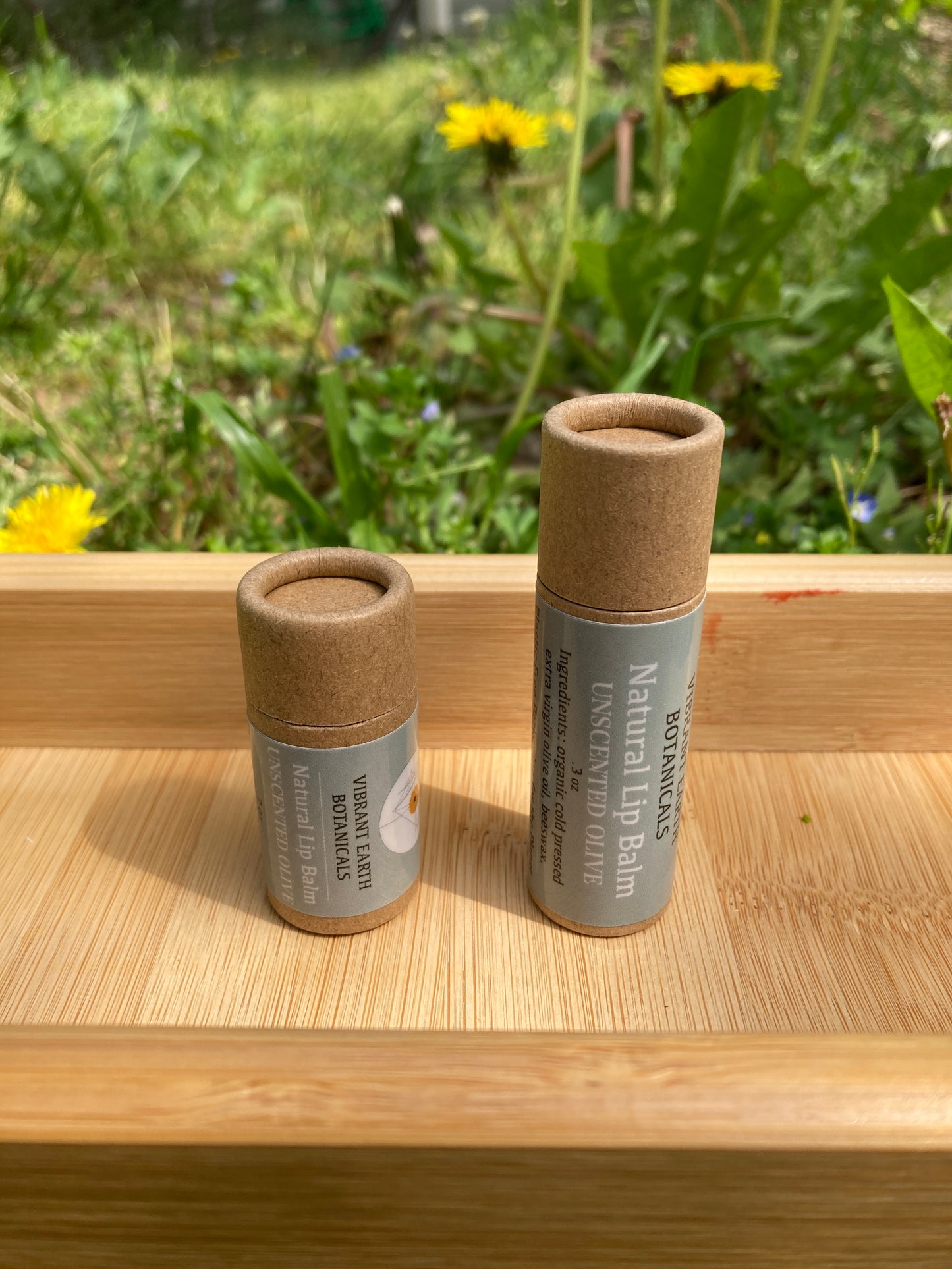 Unscented Olive Lip Balm in plastic-free tube