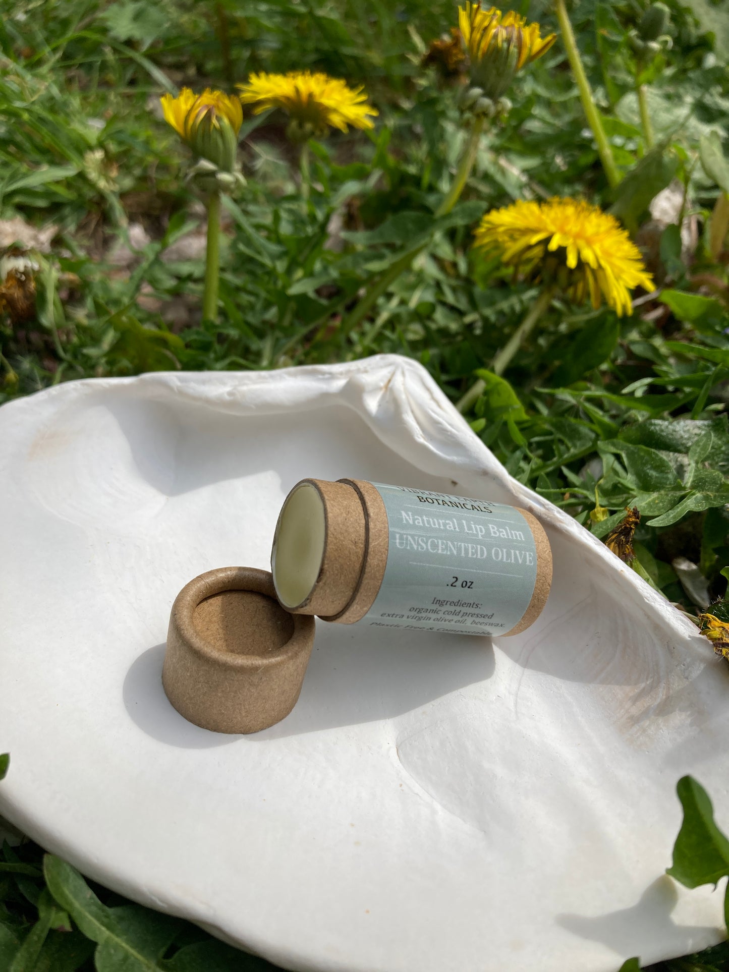 Unscented Olive Lip Balm in plastic-free tube