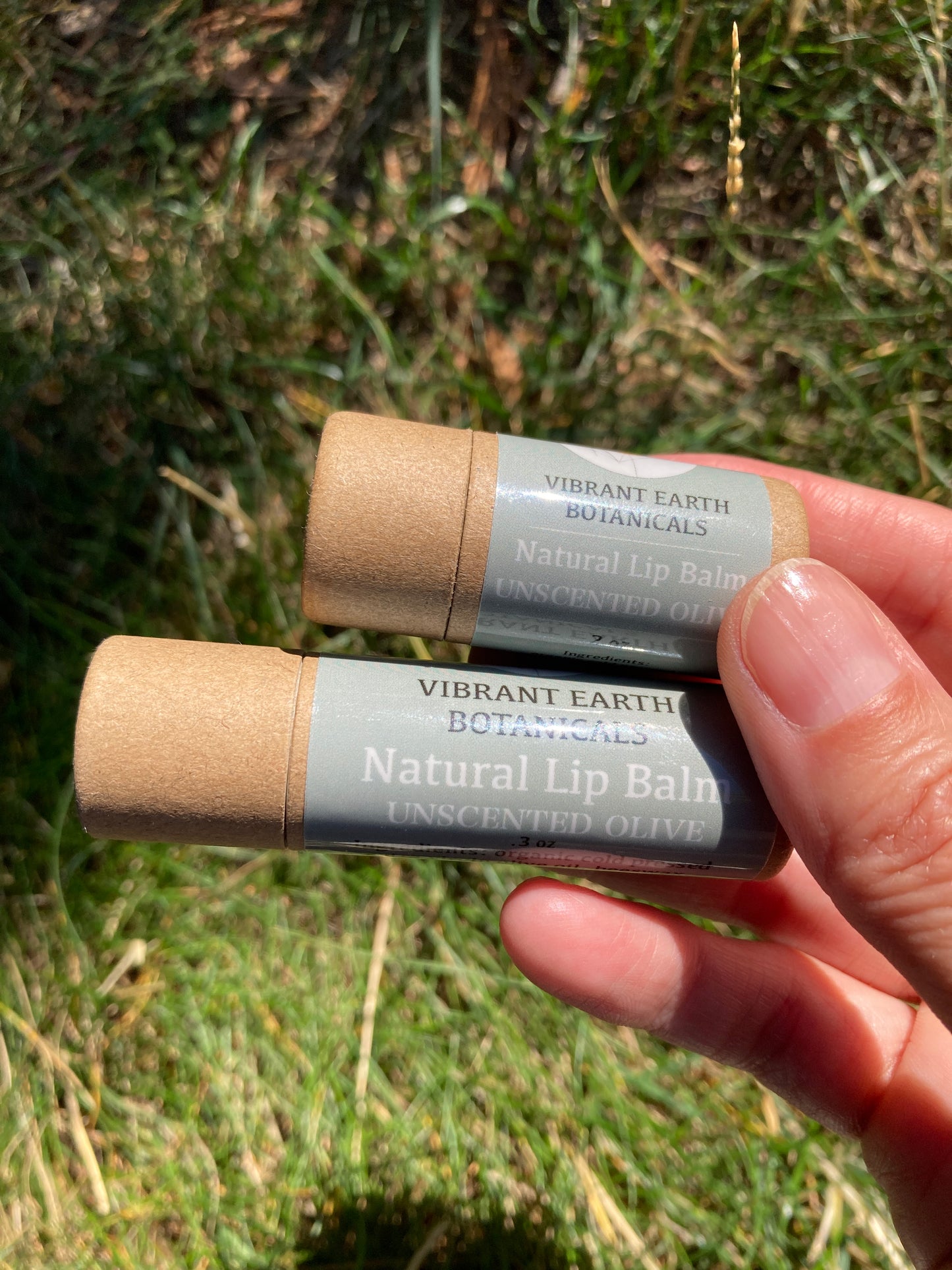 Unscented Olive Lip Balm in plastic-free tube