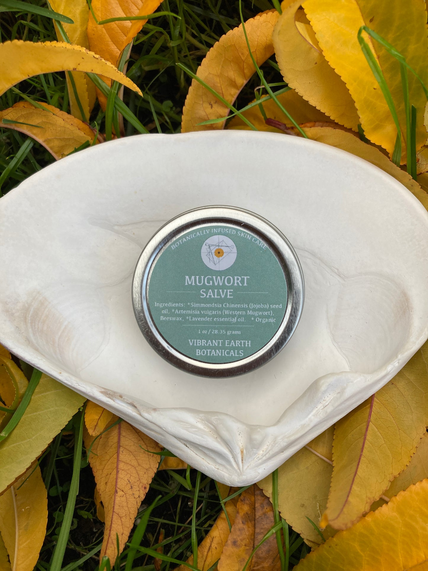 Mugwort Salve